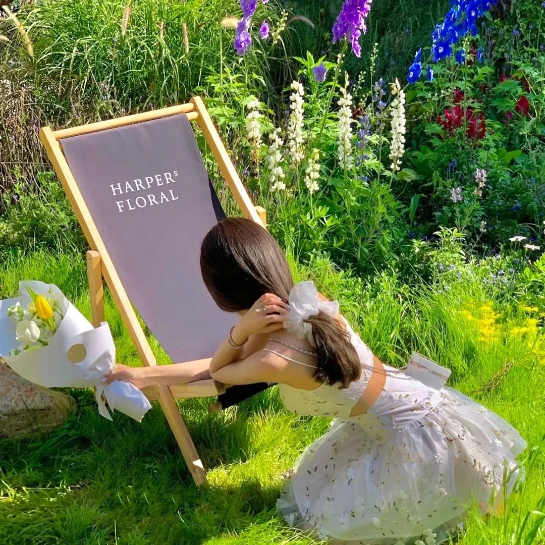冰原历险记2